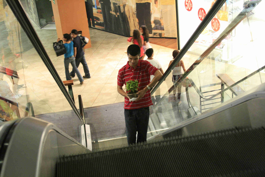 Día de San Valentín (II: Amar)